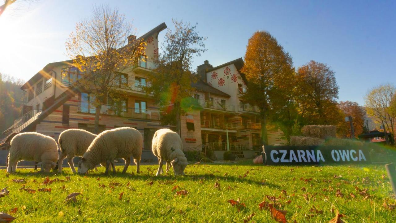 Hotel Piwniczna Spa&Conference Екстер'єр фото